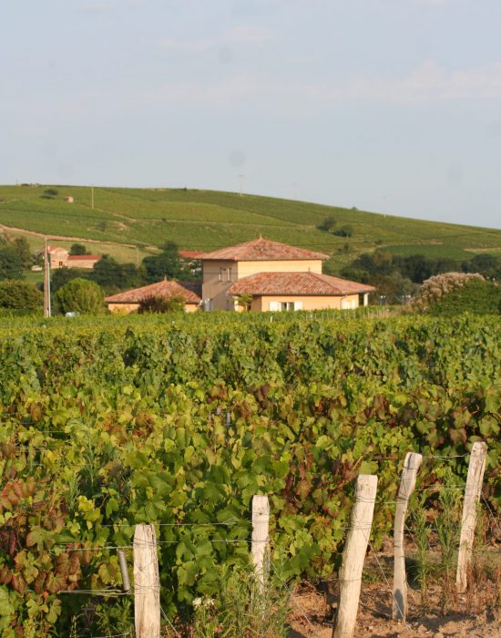 maison-beaujolais